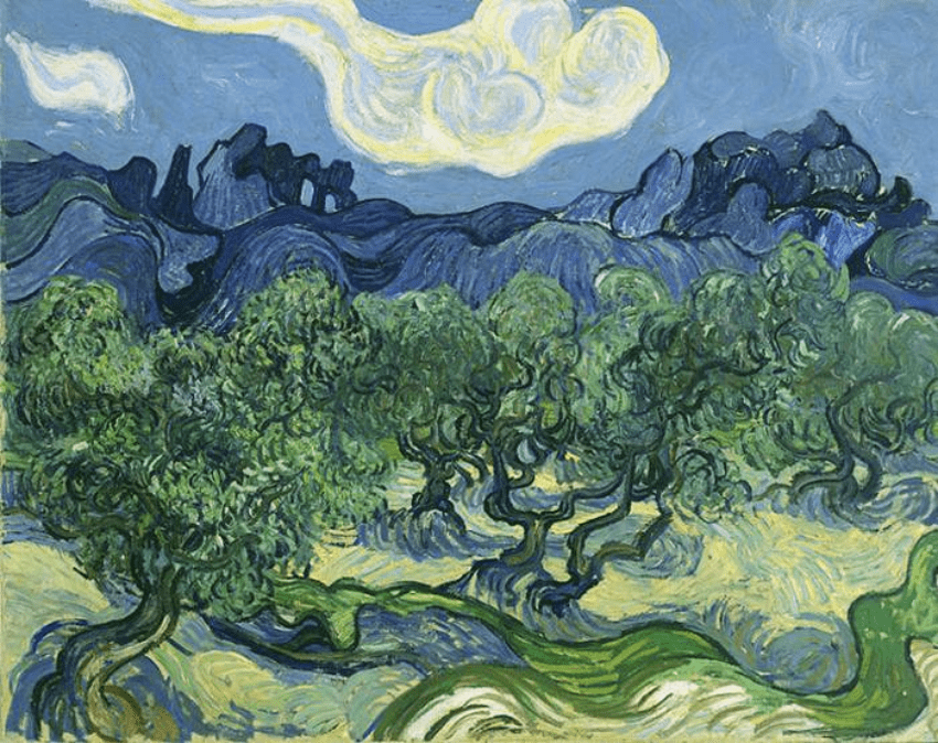 Olive trees by Van Gogh